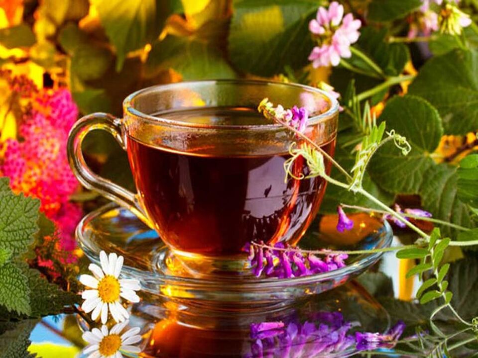 Infusions and decoctions